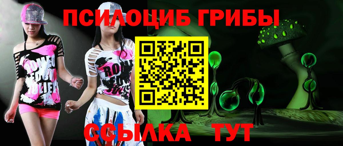 Псилоцибиновые грибы Cubensis Качканар